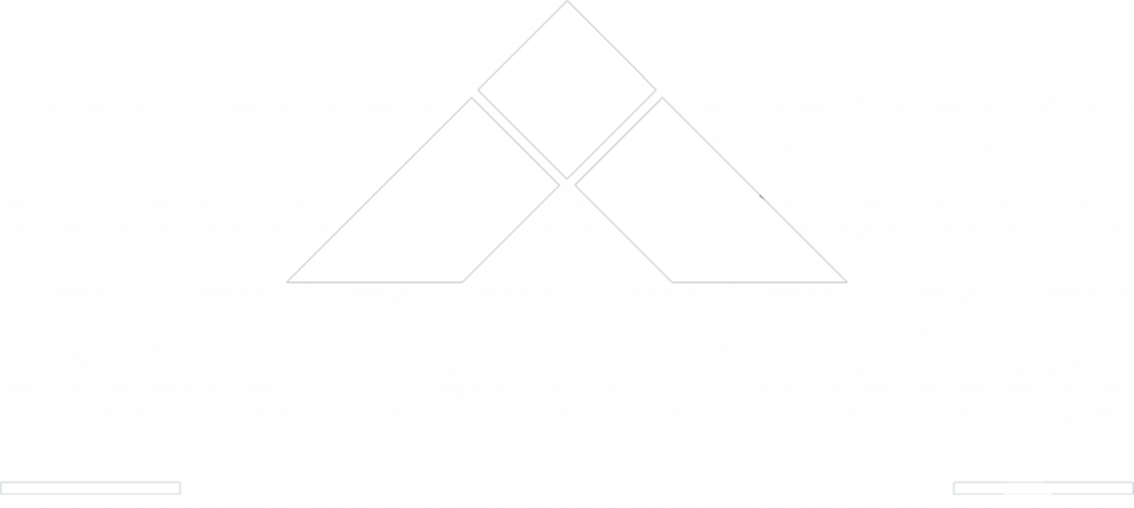 De visser bouw en onderhoud logo